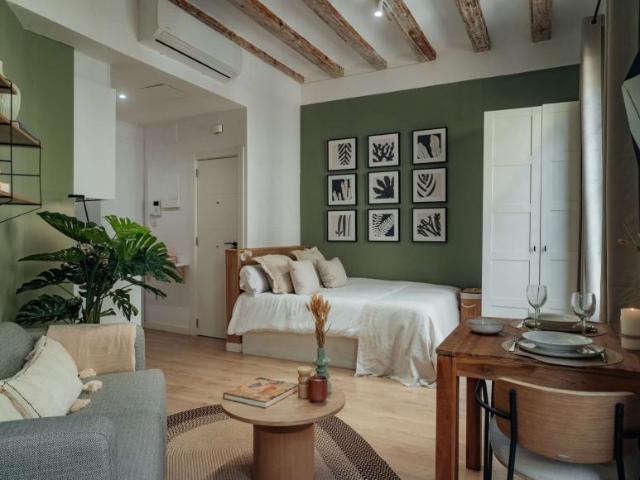 Apartamentos Barcelona Barcelona 101820969