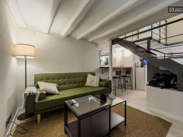 Apartamentos Barcelona Barcelona 101822907