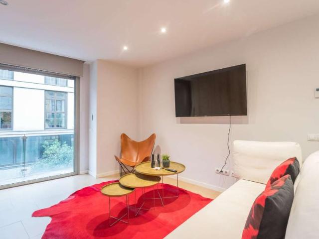 Apartamentos Barcelona Barcelona 101823637