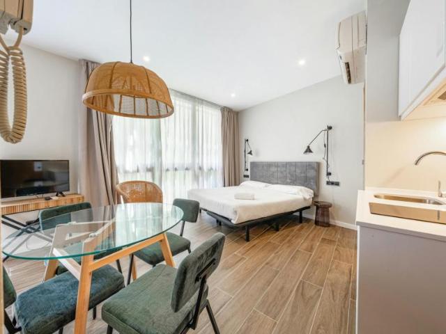 Apartamentos Barcelona Barcelona 102816655