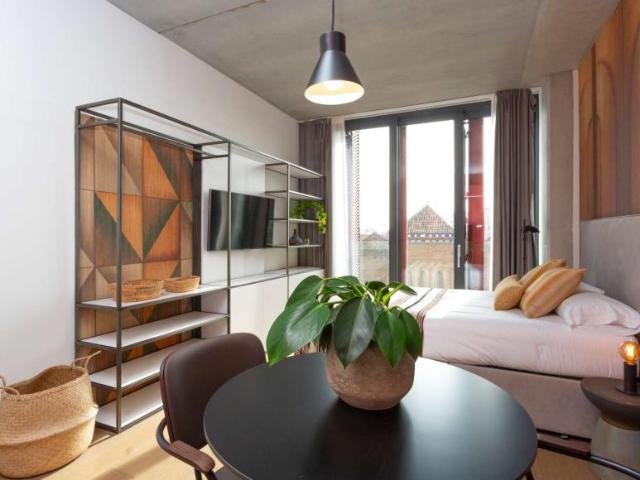 Apartamentos Barcelona Barcelona 102853531
