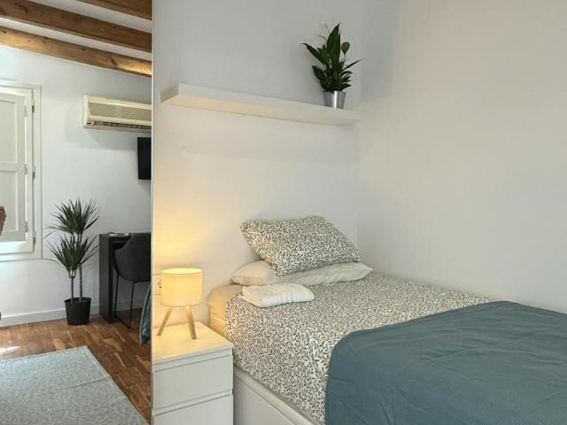 Apartamentos Barcelona Barcelona 102916913