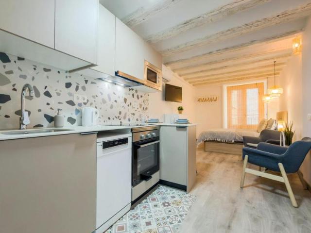 Apartamentos Barcelona Barcelona 102054714