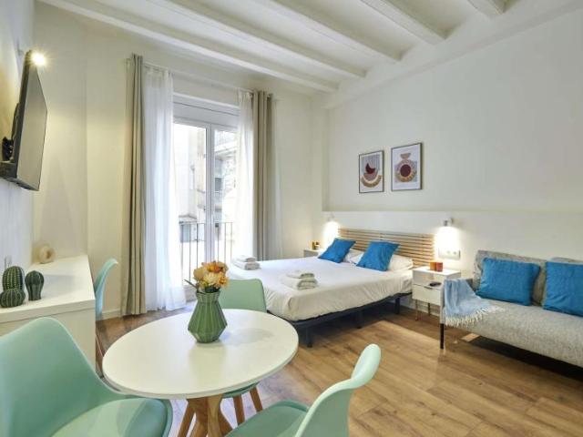 Apartamentos Barcelona Barcelona 103657623
