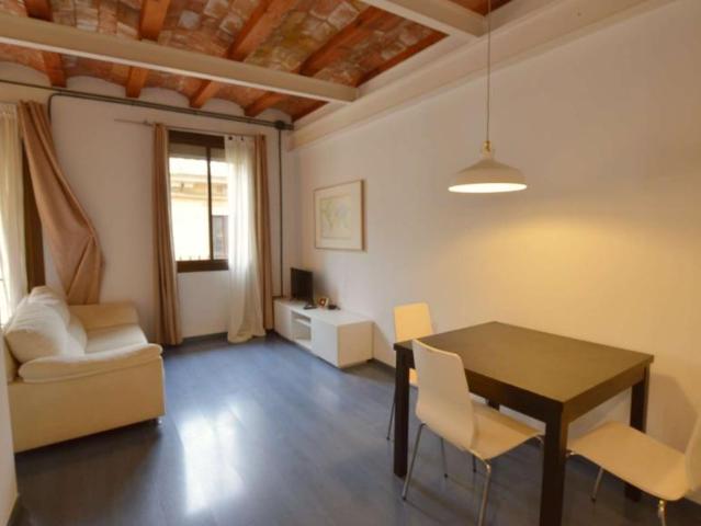 Apartamentos Barcelona Barcelona 103844514