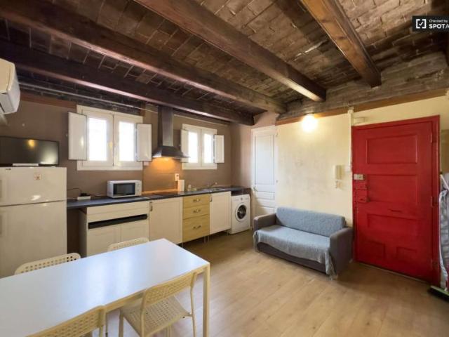 Apartamentos Barcelona Barcelona 103844521