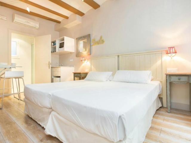 Apartamentos Barcelona Barcelona 104472534