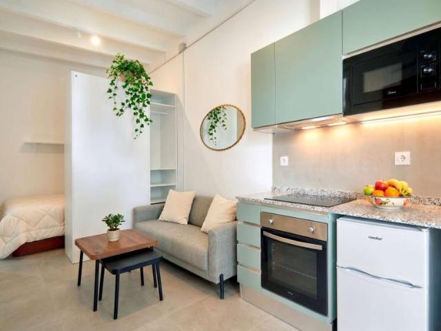 Apartamentos Barcelona Barcelona 104474232