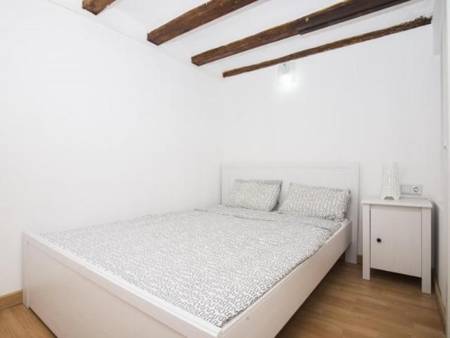 Apartamentos Barcelona Barcelona 104721426