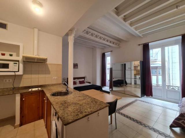 Apartamentos Barcelona Barcelona 104721170
