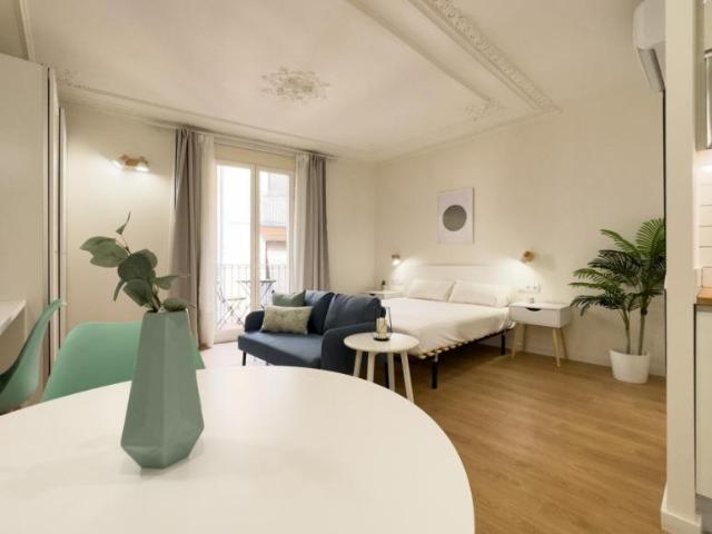 Apartamentos Barcelona Barcelona 104721193