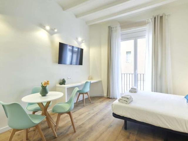 Apartamentos Barcelona Barcelona 104109499