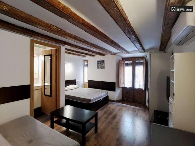 Apartamentos Barcelona Barcelona 104109510