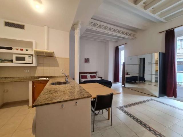 Apartamentos Barcelona Barcelona 104326801