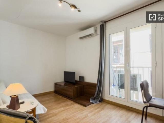 Apartamentos Barcelona Barcelona ELS101811353