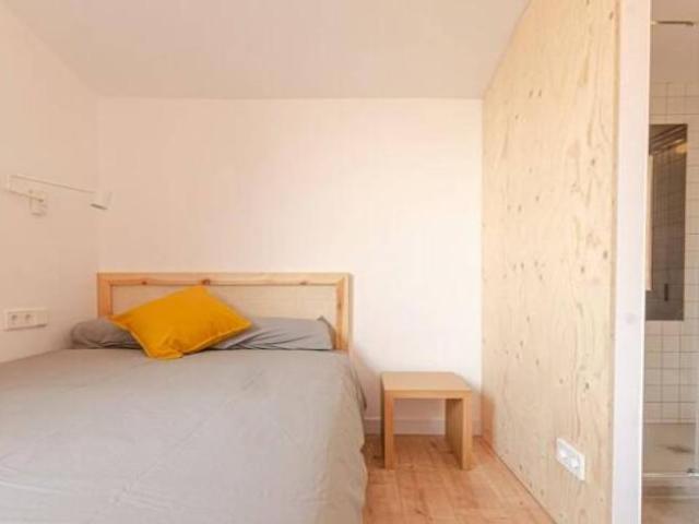 Apartamentos Barcelona Barcelona ES101671487