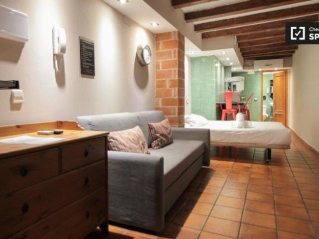 Apartamentos Barcelona Barcelona ES101692531