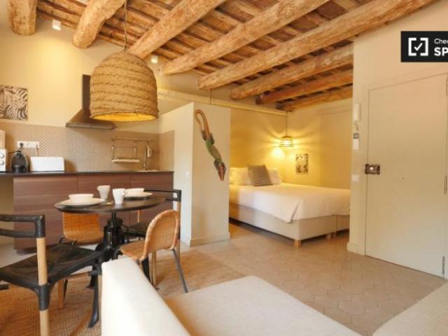 Apartamentos Barcelona Barcelona ES101771964