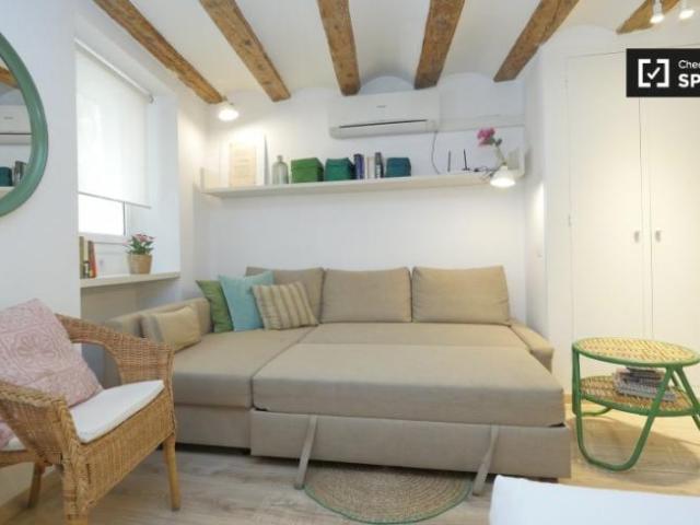 Apartamentos Barcelona Barcelona ES101813822