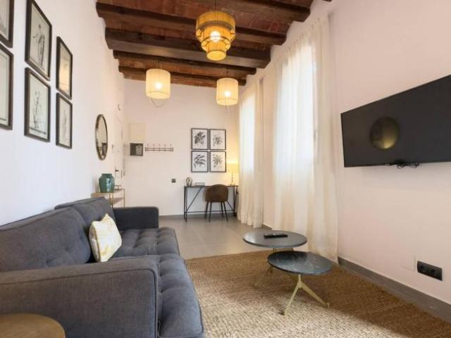 Apartamentos Barcelona Barcelona ES101817182