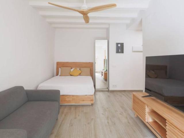 Apartamentos Barcelona Barcelona ES101818989