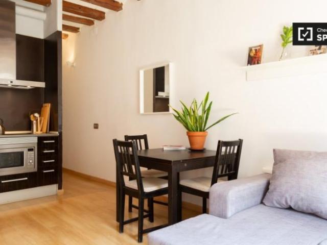 Apartamentos Barcelona Barcelona ES101820310