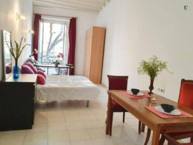 Apartamentos Barcelona Barcelona ES104564262
