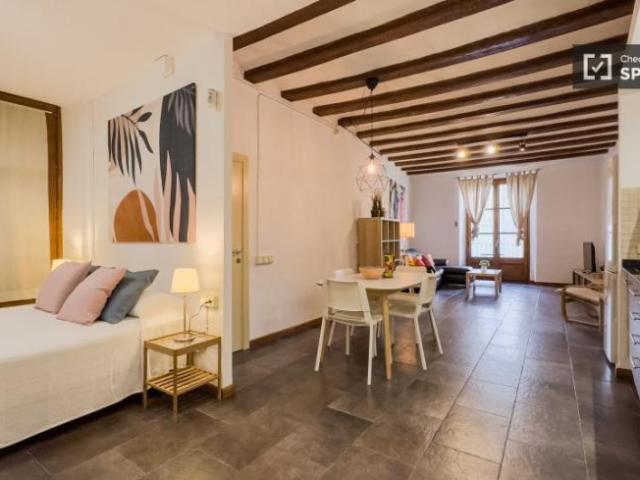 Apartamentos Barcelona Barcelona ES97944597