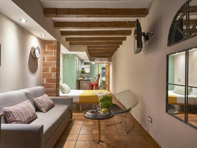 Apartamentos Barcelona Barcelona LS100677224