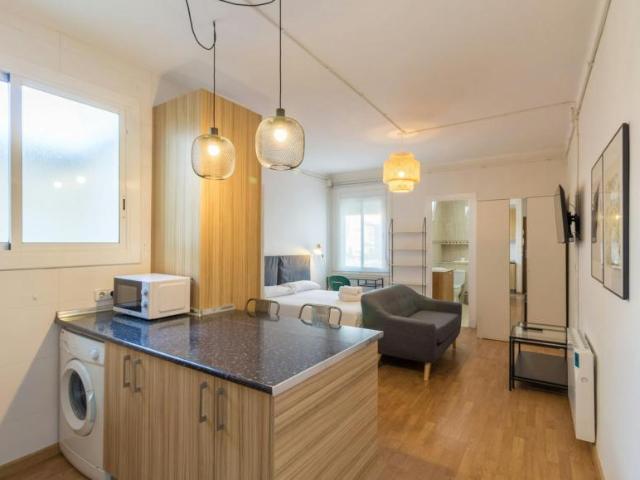 Apartamentos Barcelona Barcelona LS101343854
