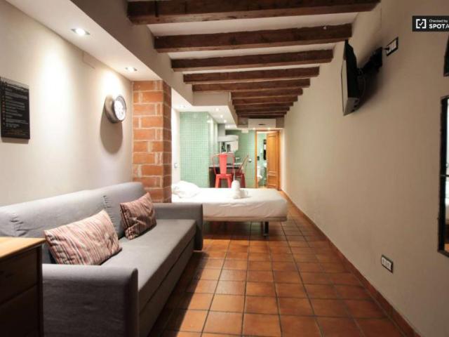 Apartamentos Barcelona Barcelona LS101692531