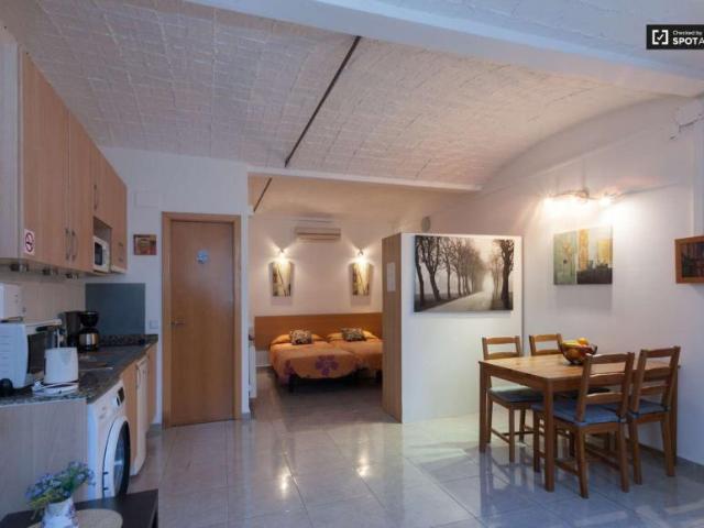 Apartamentos Barcelona Barcelona LS101736745