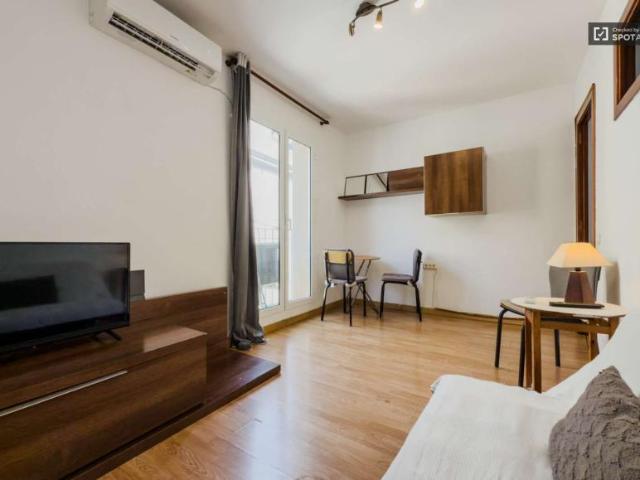 Apartamentos Barcelona Barcelona LS101811353