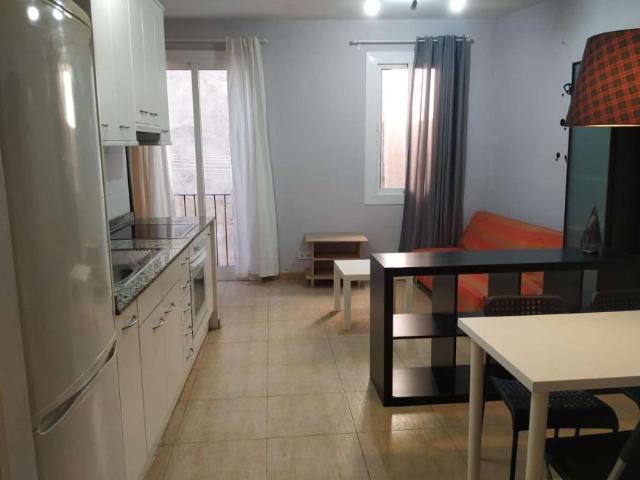 Apartamentos Barcelona Barcelona LS101813038