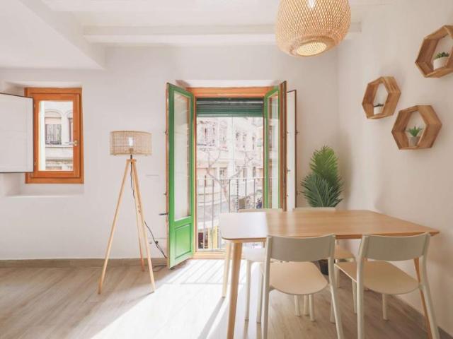 Apartamentos Barcelona Barcelona LS101818989