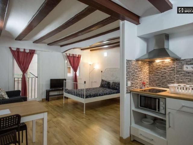 Apartamentos Barcelona Barcelona LS101993493