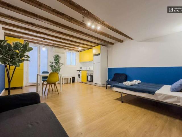 Apartamentos Barcelona Barcelona LS101918668
