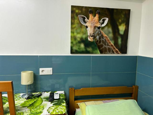 Apartamentos Barcelona Barcelona LS102856265