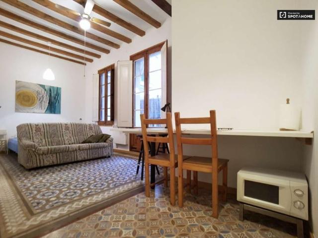 Apartamentos Barcelona Barcelona LS102817395