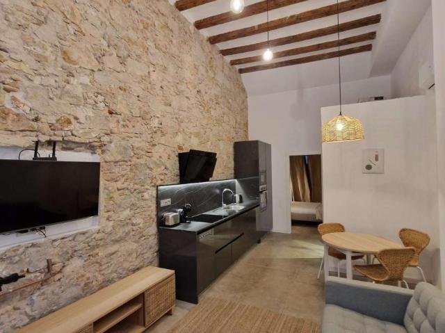 Apartamentos Barcelona Barcelona LS91291825
