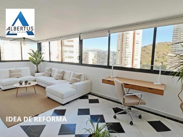 Apartamentos Benidorm Alicante 98396761