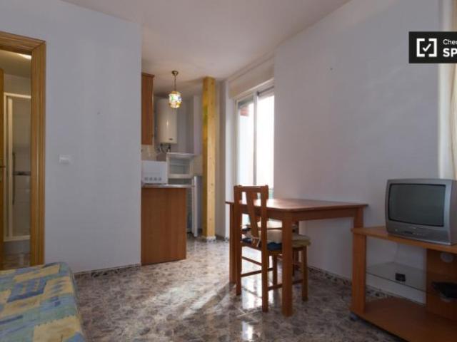 Apartamentos Granada Granada ES101671150