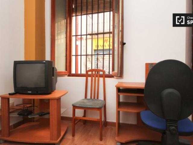 Apartamentos Granada Granada ES101771057
