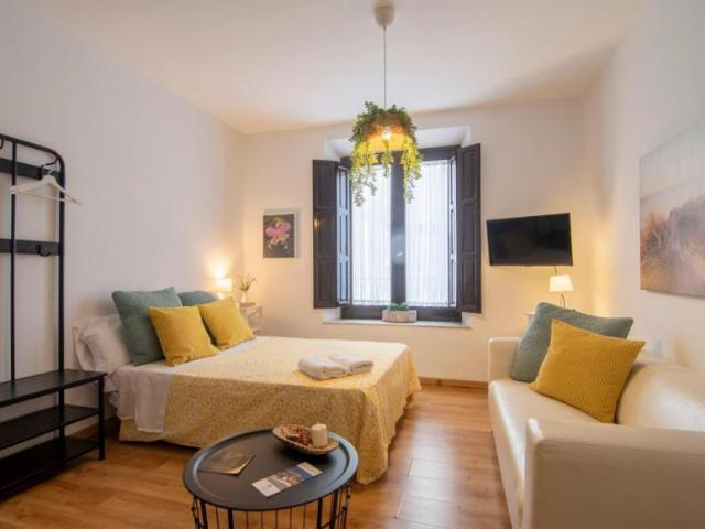 Apartamentos Granada Granada 103377966