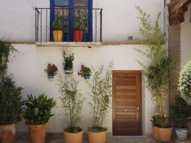 Apartamentos Granada Granada 89095321