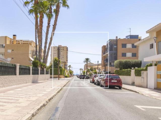 Apartamentos El Campello Alicante ES98881532