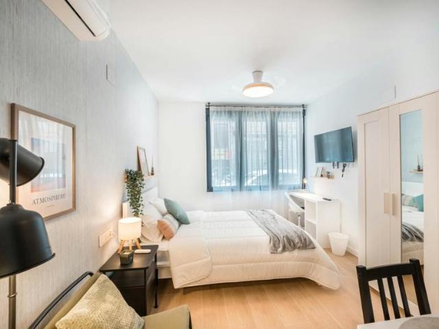 Apartamentos Elche Elche 103396668