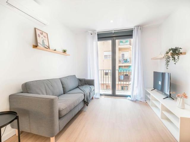 Apartamentos Elche Elche 103396661