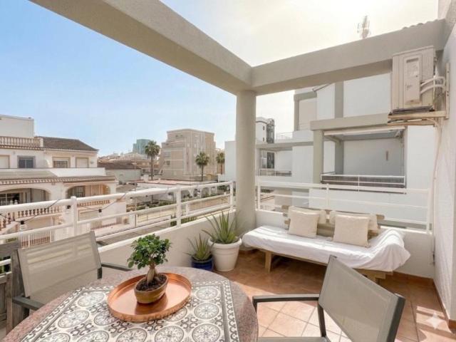 Apartamentos Oliva Valencia 100759539