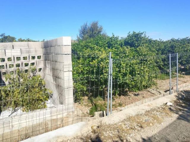 Apartamentos Oliva Valencia 101910686